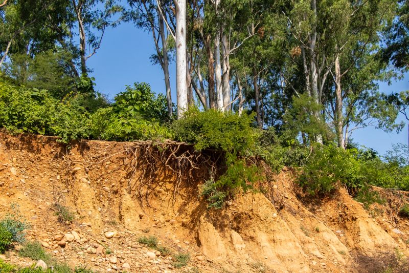 soil erosion services