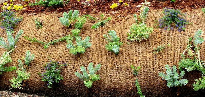 Terracing Techniques