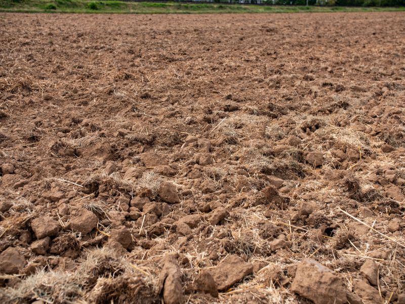 Soil Erosion Services