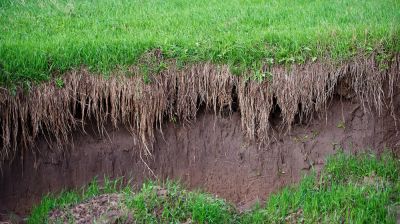 Soil Erosion Control, Soil Erosion Services, Mississippi